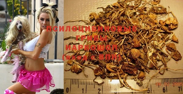 круглые Аркадак