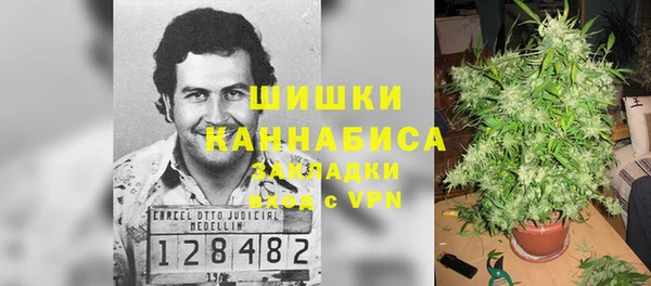 экстази Алексин