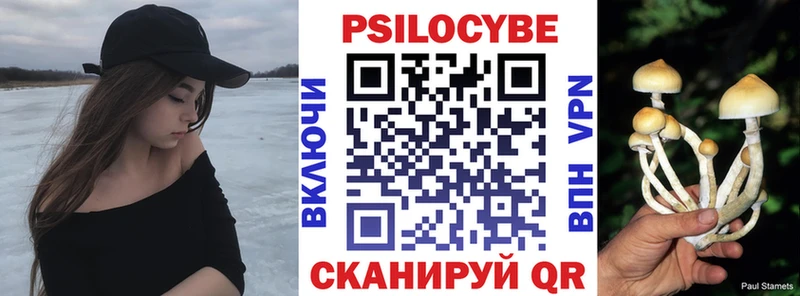 Псилоцибиновые грибы ЛСД  Купить  Чудово 